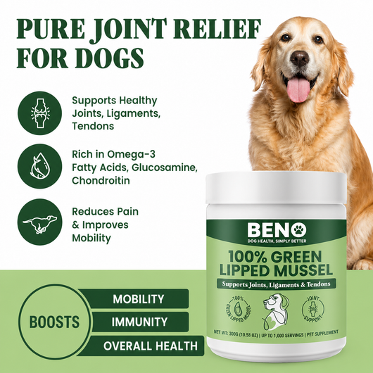 Beno - Hip & Joint Powder