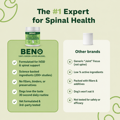 Beno - Spine & Disc Powder