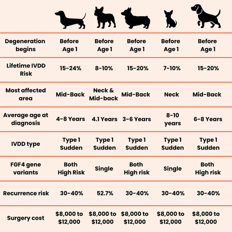 Reason #2: Disc Degeneration Starts Earlier Than You Think
